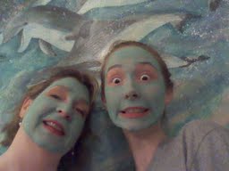 sunset beach mask with dolphins (1)